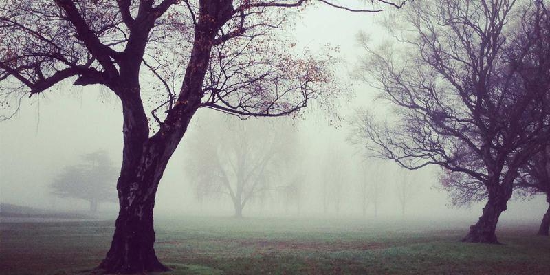 匠心铸就生命科学基石:深度解析四川汉森生物反应器搅拌系统的精密制造工艺