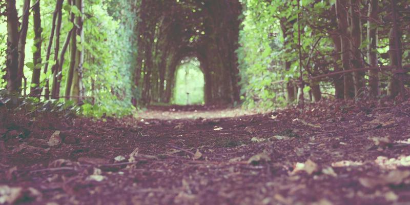 虚拟调试,智造未来:四川汉森如何用数字孪生重塑制药装备的精密加工与定制化解决方案